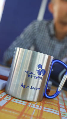 Arraial 354